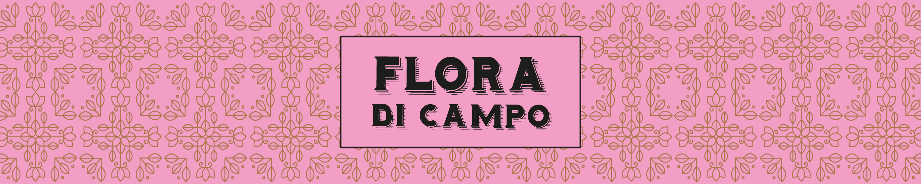 FLORA DI CAMPO