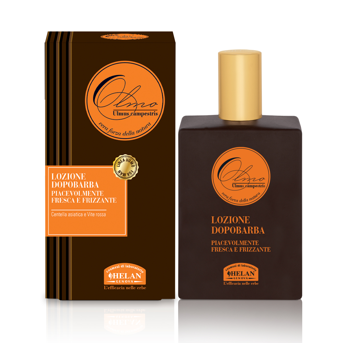 Olmo Lozione Dopobarba