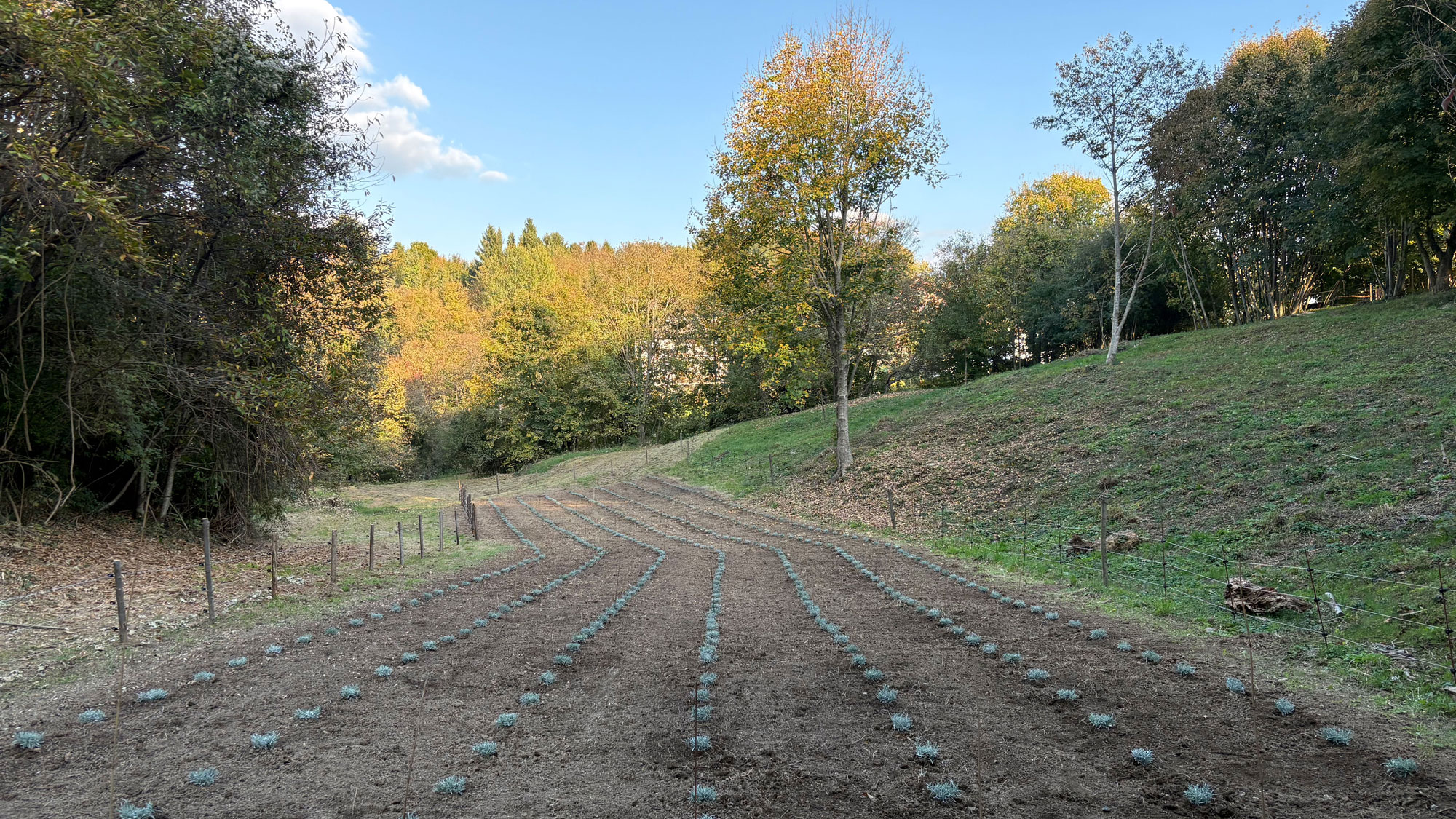 Oasi Helan – Il Bosco dei Profumi